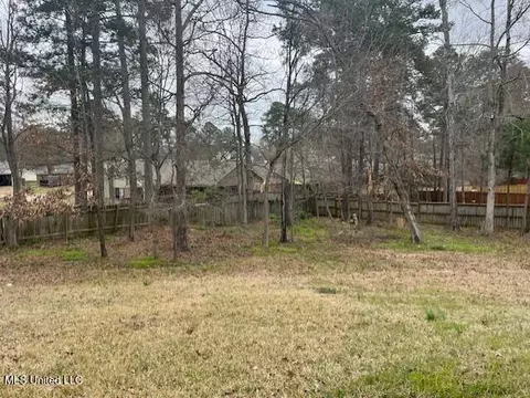 602 Terrapin Ct, Brandon, MS 39047 photo 5