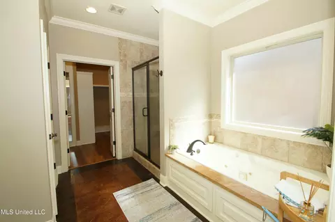 Bath - 106 Amethyst Ln, Brandon, MS 39047 photo 1 of 4