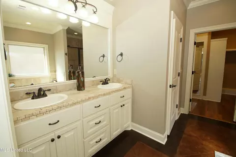 Bath - 106 Amethyst Ln, Brandon, MS 39047 photo 2 of 4