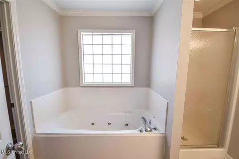 Bath - 1015 Cobblestone Pl, Brandon, MS 39042 photo 1 of 2