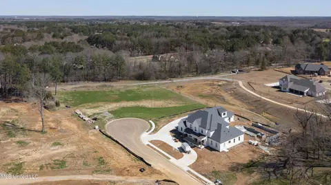 Morrison Cove, Madison, MS 39110 photo 8
