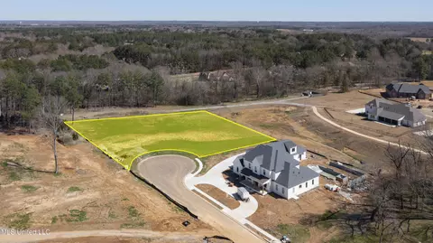 Morrison Cove, Madison, MS 39110