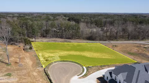 Morrison Cove, Madison, MS 39110 photo 7