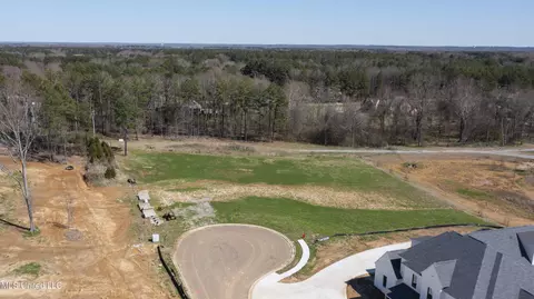 Morrison Cove, Madison, MS 39110 photo 5