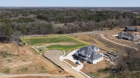 Morrison Cove, Madison, MS 39110 photo 9
