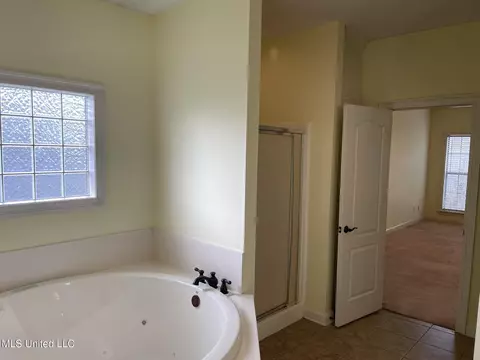 Bath - 362 Mallory Dr, Byram, MS 39272 photo 1 of 4