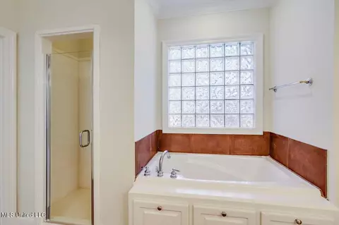 Bath - 107 Misty Cv, Madison, MS 39110 photo 2 of 4