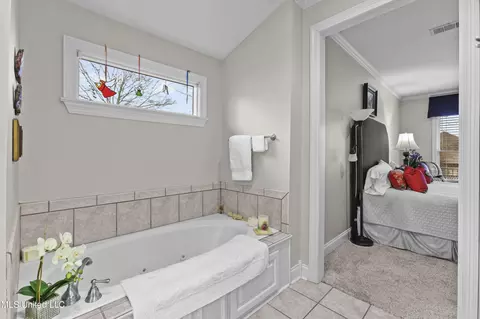 Bath - 144 Northshore Way, Madison, MS 39110 photo 1 of 6