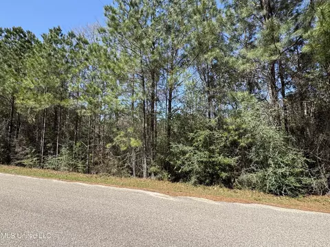 00 Conner Dr, Perkinston, MS 39573 photo 2