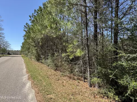 00 Conner Dr, Perkinston, MS 39573 photo 3