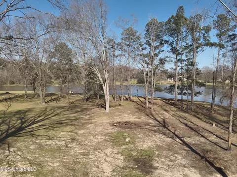100 Old Orchard Rd, Madison, MS 39110 photo 55