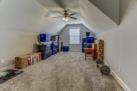 Other - 4151 Bakersfield Dr, Nesbit, MS 38651 photo 14 of 14