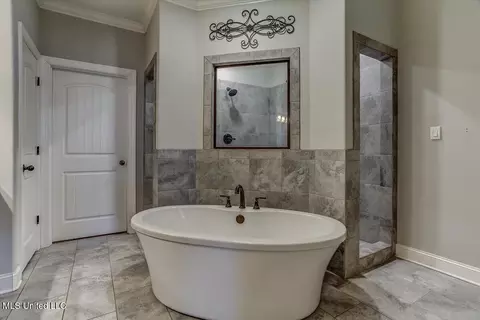 Bath - 4151 Bakersfield Dr, Nesbit, MS 38651 photo 1 of 5