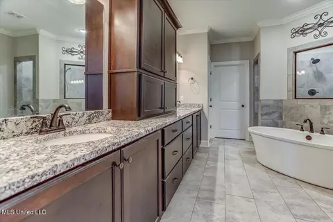 Bath - 4151 Bakersfield Dr, Nesbit, MS 38651 photo 2 of 5