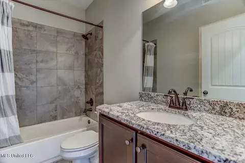 Bath - 4151 Bakersfield Dr, Nesbit, MS 38651 photo 3 of 5