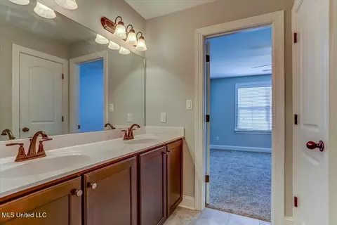 Other - 4151 Bakersfield Dr, Nesbit, MS 38651 photo 13 of 14