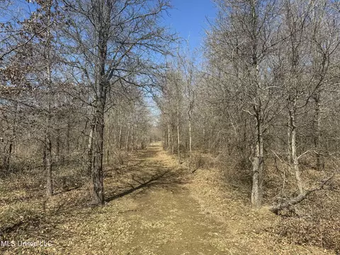 130 Pinion Rd, Lambert, MS 38643 photo 59