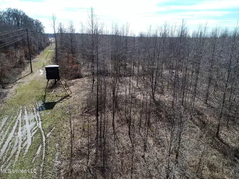 130 Pinion Rd, Lambert, MS 38643 photo 34
