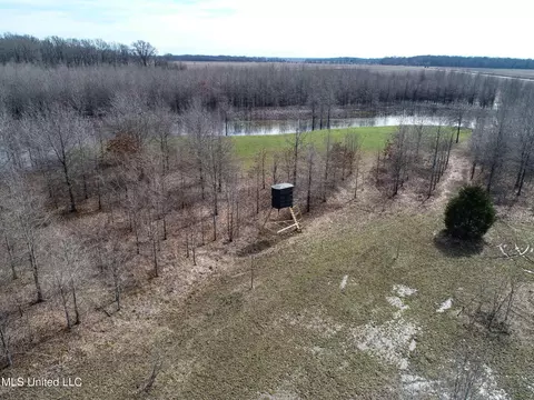130 Pinion Rd, Lambert, MS 38643 photo 23