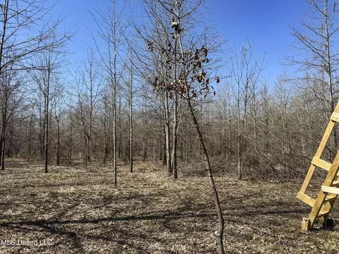 130 Pinion Rd, Lambert, MS 38643 photo 87