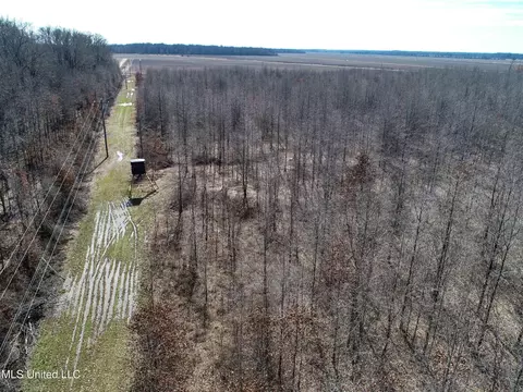 130 Pinion Rd, Lambert, MS 38643 photo 33