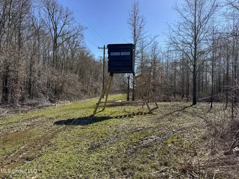 130 Pinion Rd, Lambert, MS 38643 photo 79