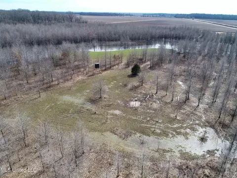 130 Pinion Rd, Lambert, MS 38643 photo 22