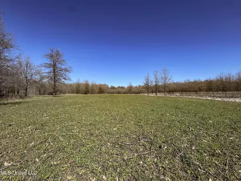 130 Pinion Rd, Lambert, MS 38643 photo 64