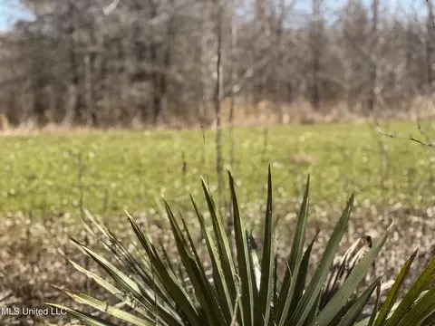 130 Pinion Rd, Lambert, MS 38643 photo 54