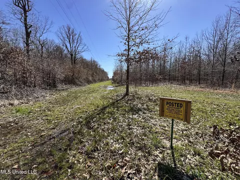130 Pinion Rd, Lambert, MS 38643 photo 78
