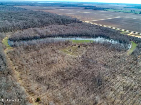 130 Pinion Rd, Lambert, MS 38643 photo 15