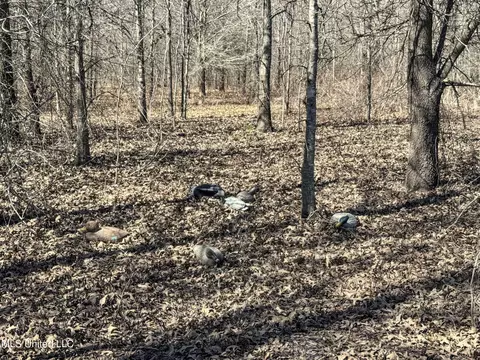 130 Pinion Rd, Lambert, MS 38643 photo 74