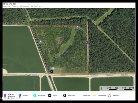 130 Pinion Rd, Lambert, MS 38643 photo 9