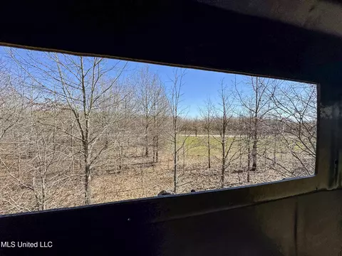 130 Pinion Rd, Lambert, MS 38643 photo 72