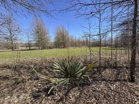 130 Pinion Rd, Lambert, MS 38643 photo 53