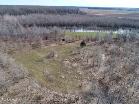 130 Pinion Rd, Lambert, MS 38643 photo 21