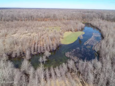 130 Pinion Rd, Lambert, MS 38643 photo 26