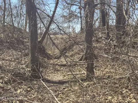 130 Pinion Rd, Lambert, MS 38643 photo 58