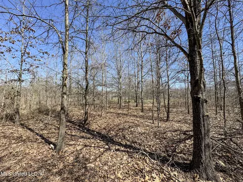 130 Pinion Rd, Lambert, MS 38643 photo 52