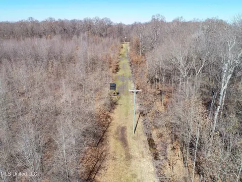 130 Pinion Rd, Lambert, MS 38643 photo 35