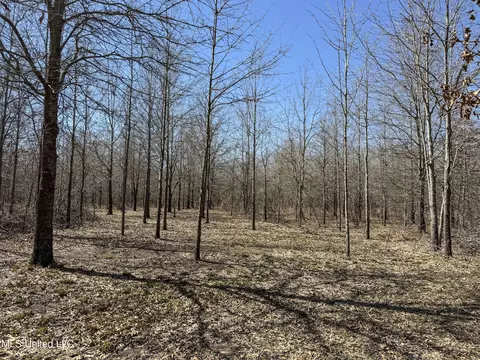 130 Pinion Rd, Lambert, MS 38643 photo 86
