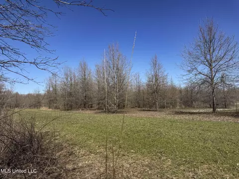 130 Pinion Rd, Lambert, MS 38643 photo 55