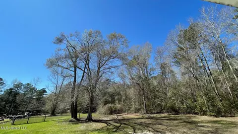 Other - 20193 Old Highway 49, Saucier, MS 39574 photo 10 of 12