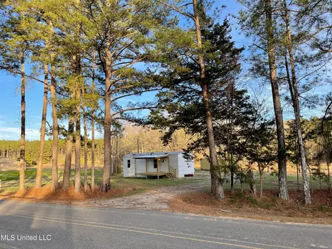 5406 Utah Rd, Lena, MS 39094 photo 13