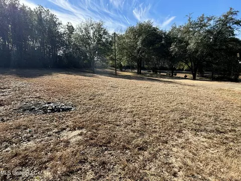 Other - 2133 Fig Farm Rd, Lucedale, MS 39452 photo 6 of 9