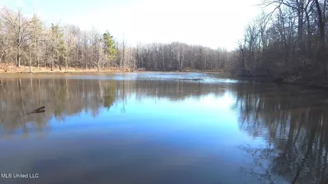 4577 Bluff Rd, Hernando, MS 38632
