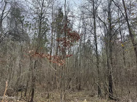 10 Okelly Cir, Natchez, MS 39120