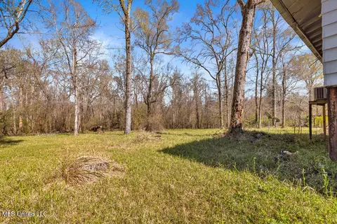 151 Plum Bluff Dr Rd, Lucedale, MS 39452 photo 17