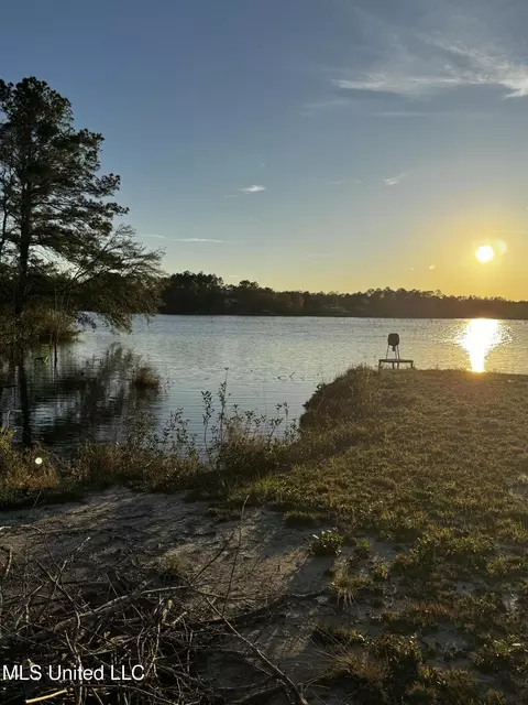 Spring Lake E Drive, Vancleave, MS 39565 photo 6