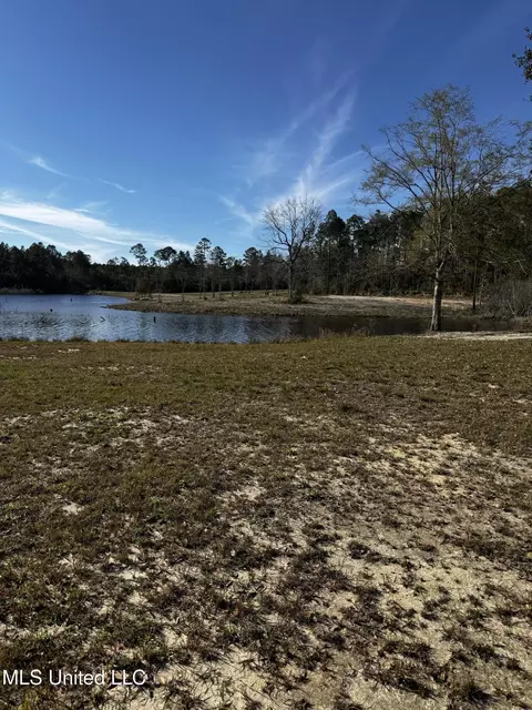 Spring Lake E Drive, Vancleave, MS 39565 photo 11